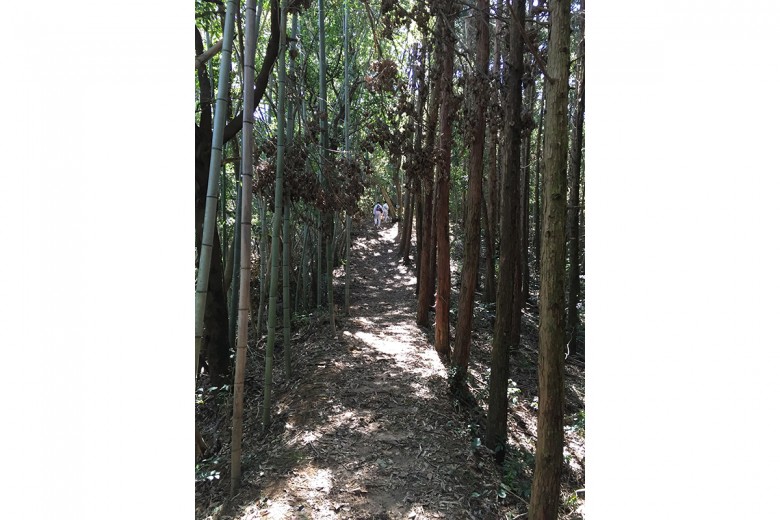 walking3